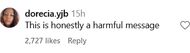 Another user calls Tia's message "harmful" (image via @dorecia.yjb on Instagram)